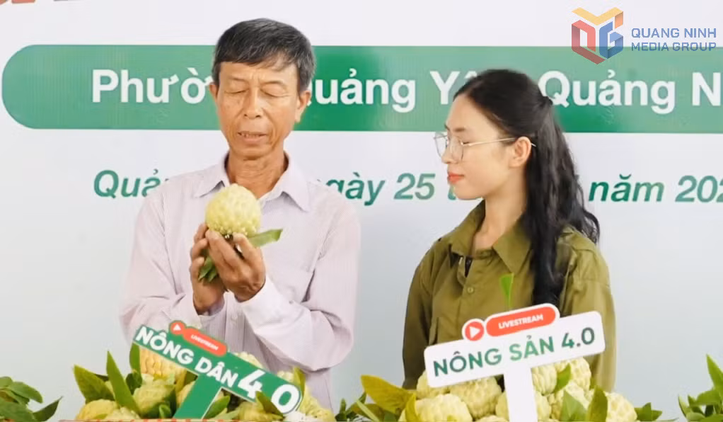 Ông Vũ Tất Đạt (phường Quảng Yên) giới thiệu về giá trị của quả na bở Tiền An tại phiên livestream ngày 25/7/2026.