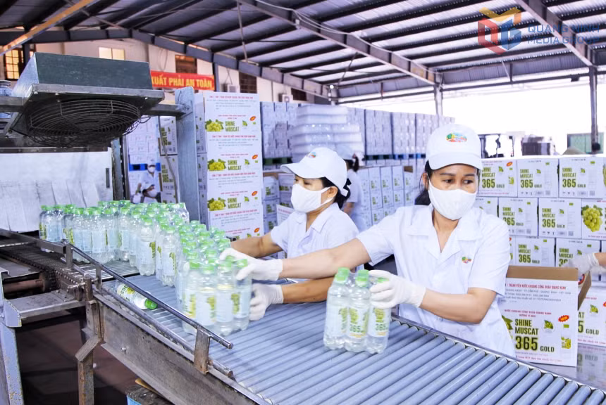 Hoạt động sản xuất tại Công ty TNHH 1 thành viên Nước khoáng Công đoàn Quang Hanh.