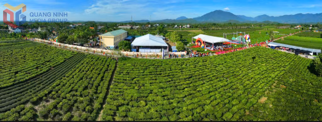 Sẽ có Giải chạy Marathon quanh đồi chè tại thôn Đường Hoa Cương.