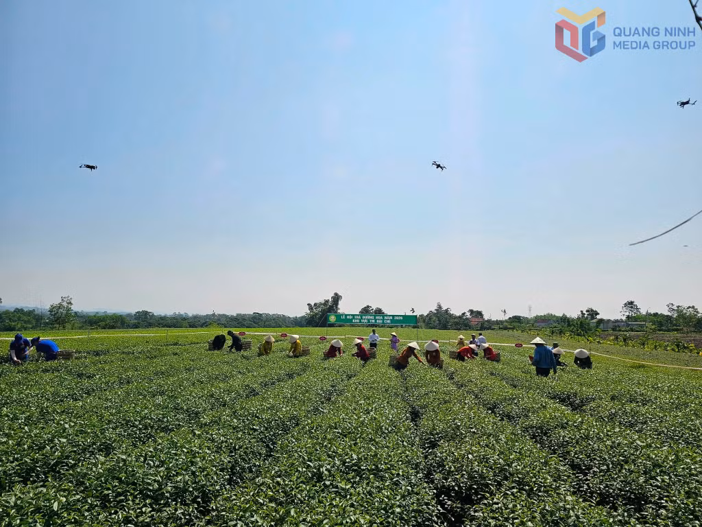 Người dân các thôn của xã Đường Hoa tham gia cuộc thi hái chè tại Lễ hội Trà Đường Hoa năm 2026.
