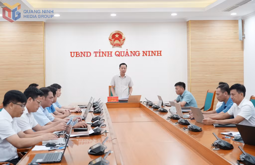 Đồng chí Lê Văn Ánh, Phó Chủ tịch UBND tỉnh, phát biểu tại cuộc họp.