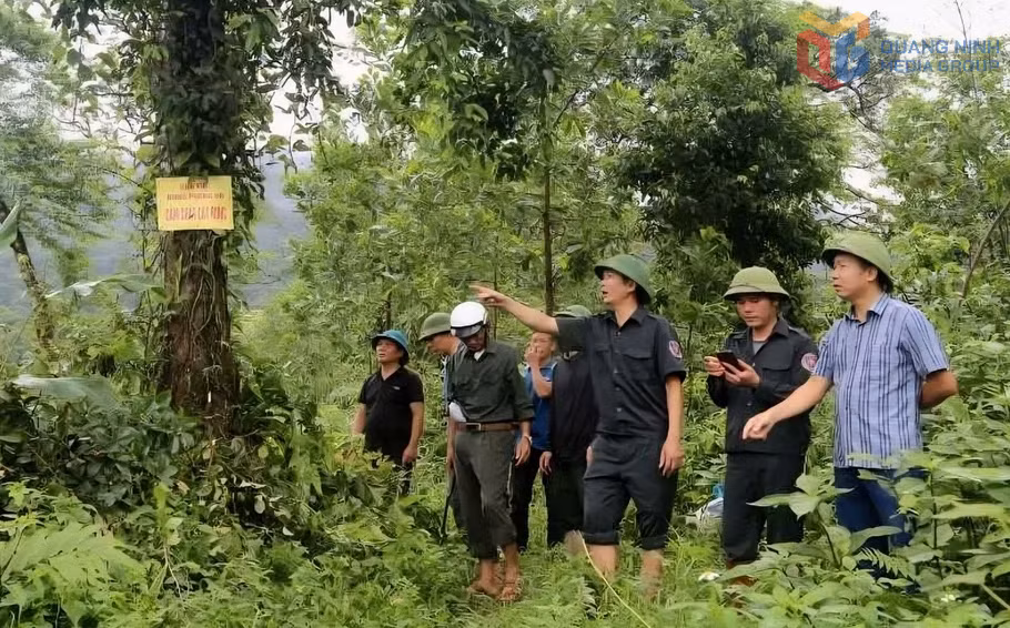 Đội Quản lý bảo vệ rừng số 4 (Ban Quản lý rừng phòng hộ, đặc dụng Miền Đông) thực hiện tuần tra qua phần mềm SMART.&nbsp;Ảnh: Đơn vị cung cấp.