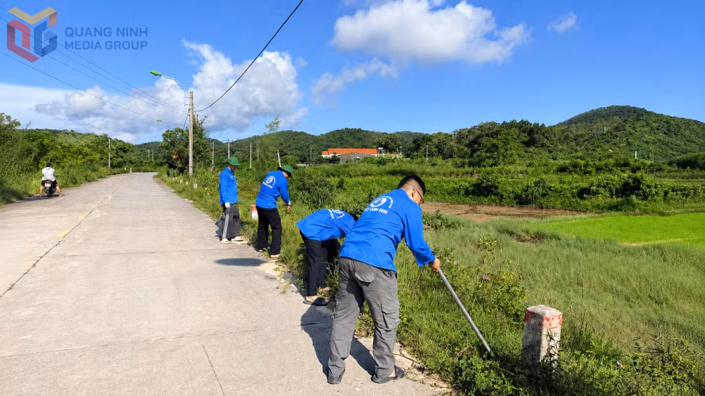 Đoàn viên, thanh niên trồng cây phi lao, góp phần phủ xanh đảo Cái Chiên.