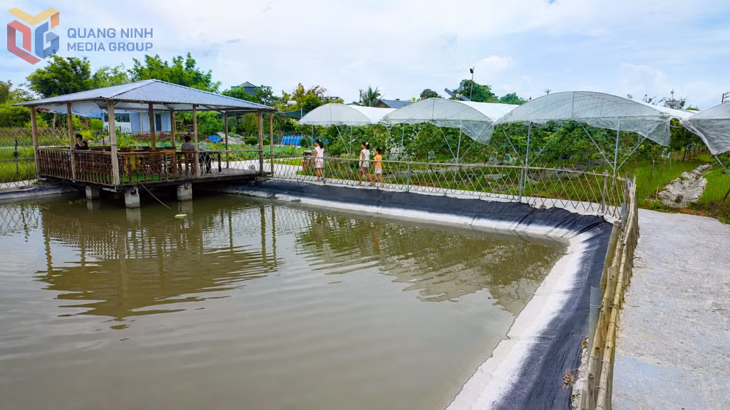 Du khách trải nghiệm du lịch sinh thái nông nghiệp tại Nhà vườn Việt Huyền (thôn Xóm Giáo).