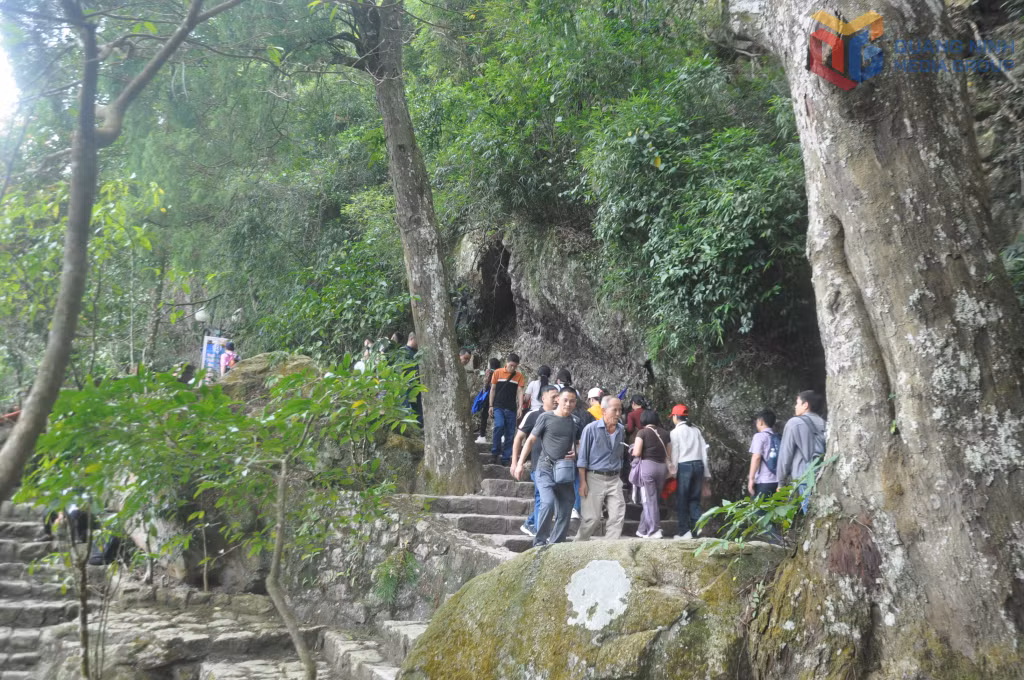 Du khách hành hương trên núi Yên Tử dưới bóng những lão tùng cổ, được các thiền sư giáo phái Trúc Lâm ươm trồng năm xưa.