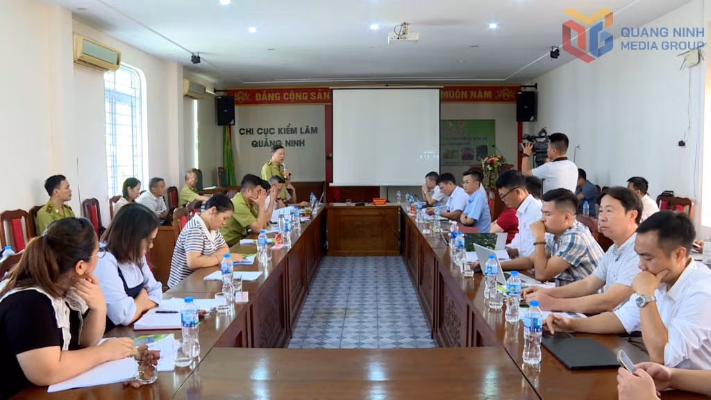 Hội thảo “Tiềm năng và giải pháp phát triển chuỗi giá trị hồi, quế trên địa bàn tỉnh Quảng Ninh”.