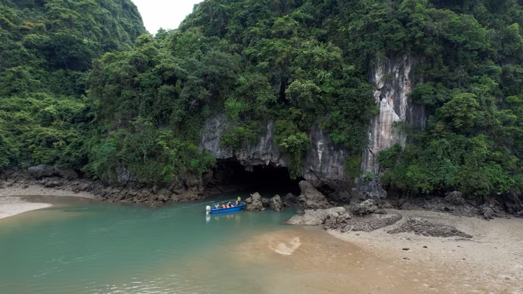 Hang luồn Cái Đé là nơi dẫn vào một trong những hệ sinh thái rừng ngập mặn độc đáo của Vườn quốc gia Bái Tử Long.