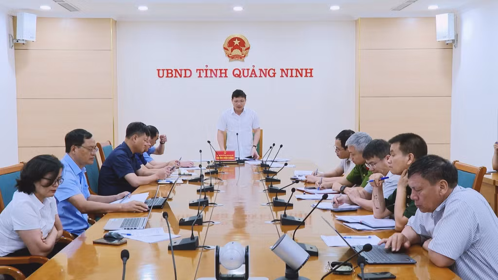 Phó Chủ tịch UBND tỉnh Nghiêm Xuân Cường phát biểu chỉ đạo cuộc họp.