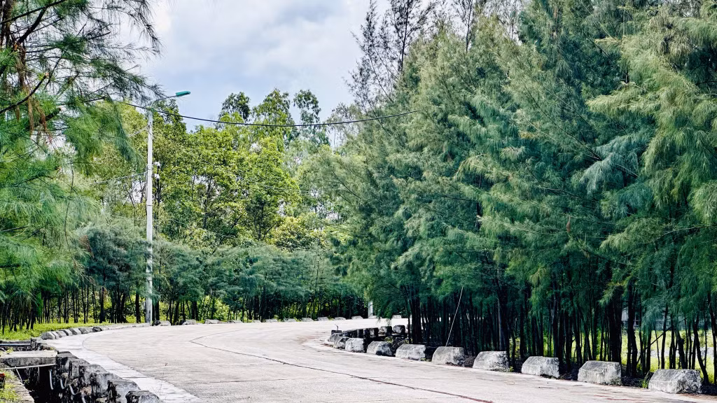 "Cung đường xanh" tại cảng Điền Công.