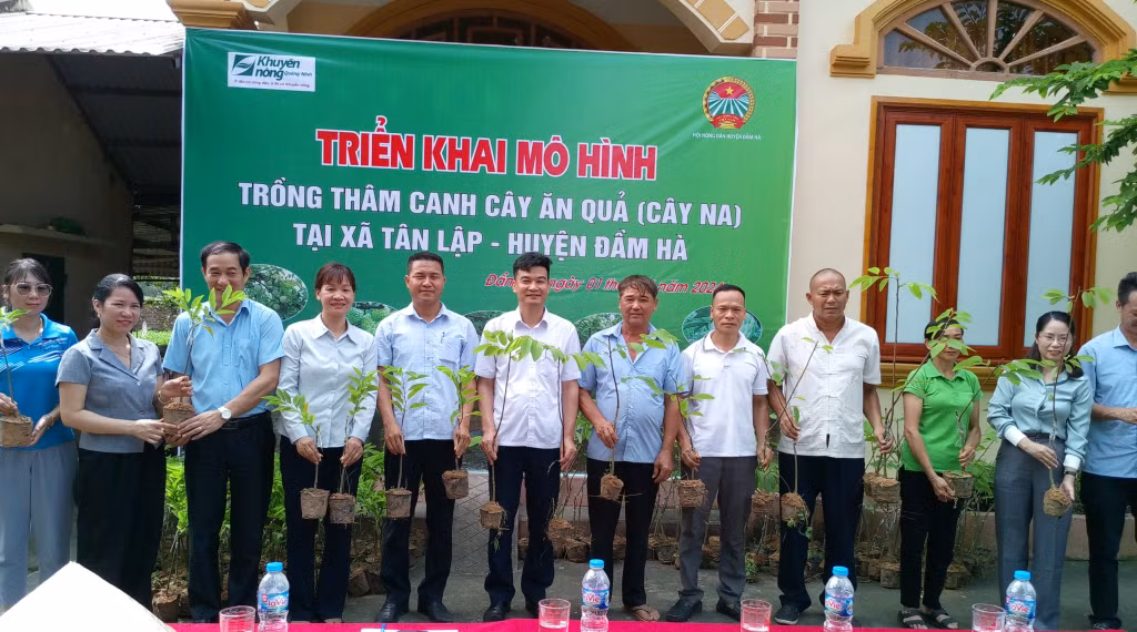 Bàn giao cây giống cho 4 hộ dân tham gia triển khai mô hình trồng na giai đoạn 1 tại thôn Thái Lập.