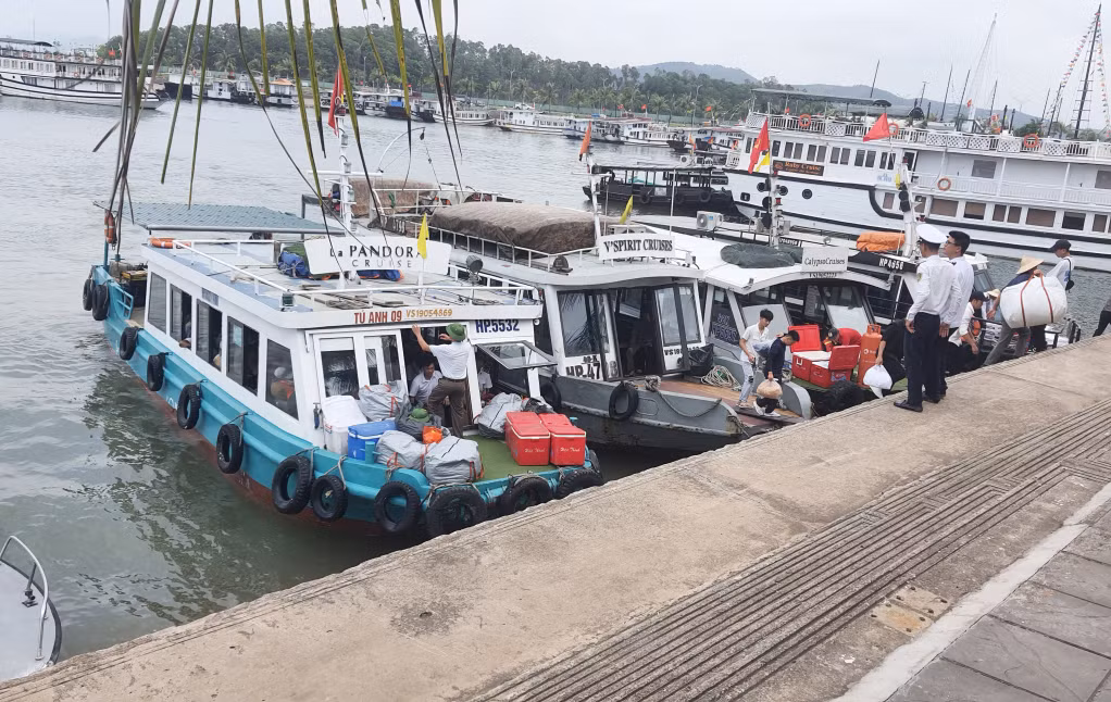 Hiện có khoảng 60 xuồng cao tốc, tender của Quảng Ninh và TP Hải Phòng vận chuyển du khách sang Cát Bà và ngược lại theo dạng tuyến cố định.