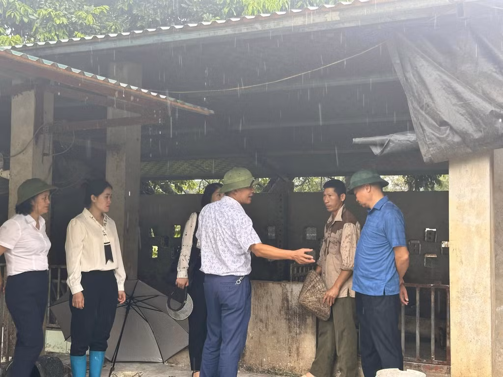 Đoàn công tác của Sở Nông nghiệp và Phát triển Nông thôn tỉnh kiểm tra tại một số hộ chăn nuôi có dịch tả lợn Châu Phi tại xã Tiên Lãng.