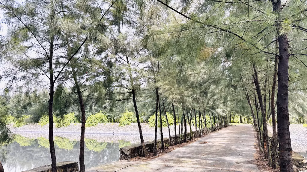 Khu vực hồ điều hòa cảng Điền Công.
