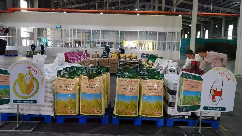Gạo Việt Nam được ưa chuộng tại thị trường Philippines.