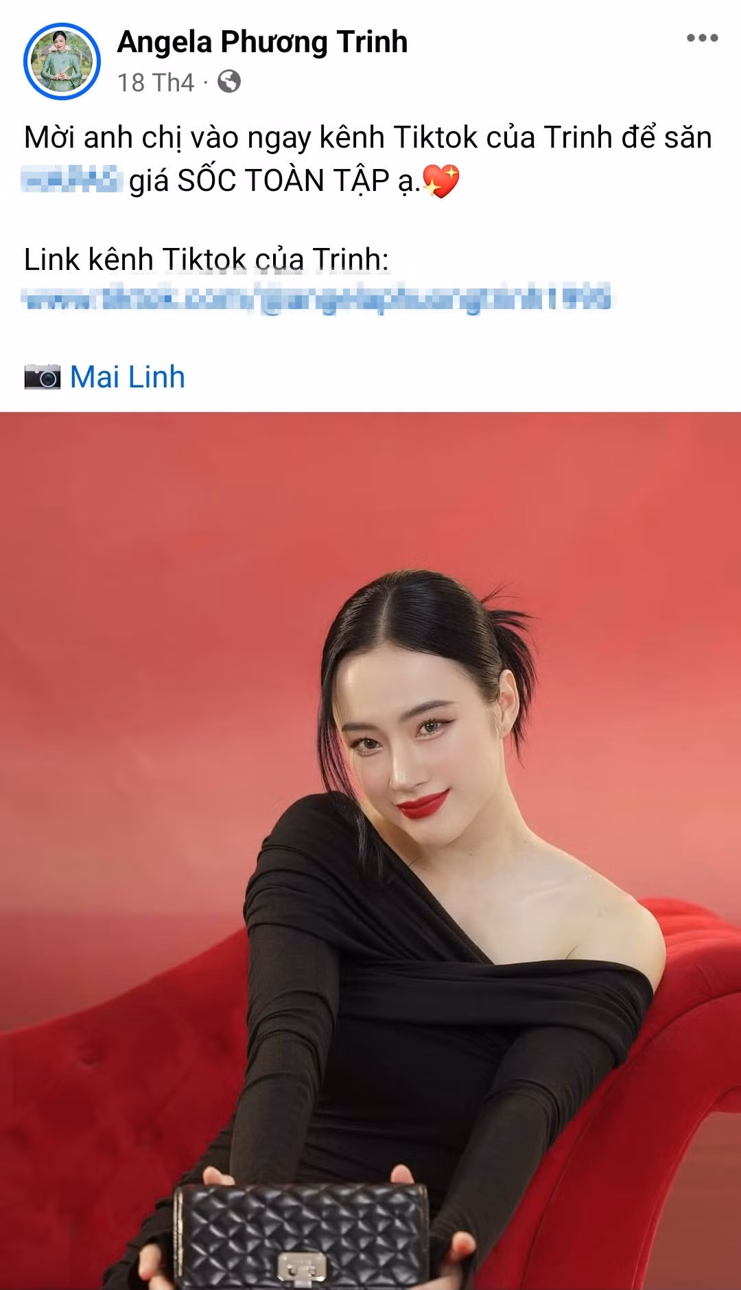 Angela Phương Trinh kiếm sống nhờ danh tiếng lại ngó lơ trách nhiệm cộng đồng. Ảnh: FBNV