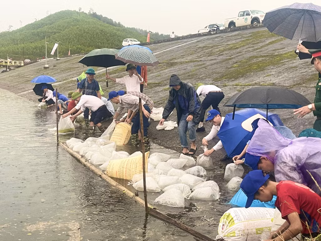 Hải Hà tổ chức thả giống thuỷ sản nhân kỷ niệm 65 năm ngày truyền thống ngành Thuỷ sản Việt Nam (1/4/1959 - 1/4/2024).
