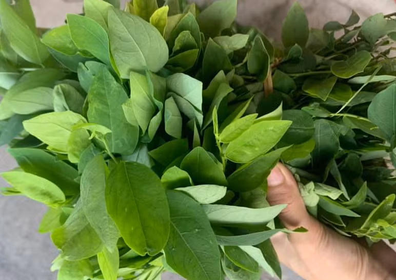 Rau xanh có nhiều tác dụng tốt cho sức khỏe. Ảnh: P.Thúy.