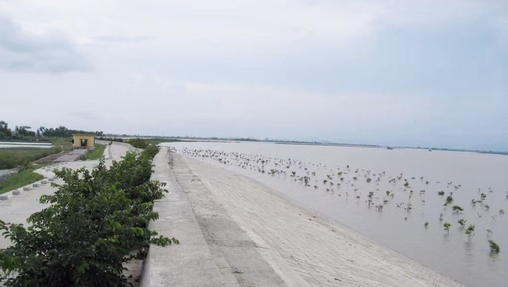 Tuyến đê Hà Nam (TX Quảng Yên) đạt tiêu chuẩn đê cấp III, có khả năng chống được bão cấp 10, tần suất triều cường 5%. Ảnh: Nguyễn Thanh