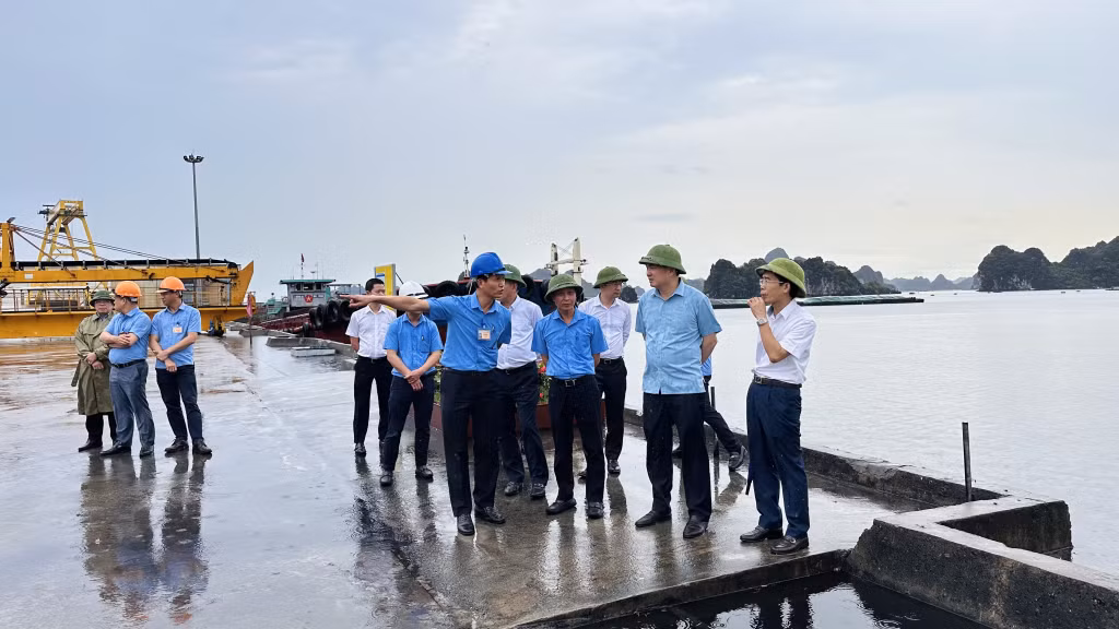 Ông Ngô Hoàng Ngân, Bí thư Đảng uỷ, Chủ tịch HĐTV TKV (thứ hai, phải sang) kiểm tra mặt bằng cụm cảng Km6, Công ty Kho vận &amp; Cảng Cẩm Phả.