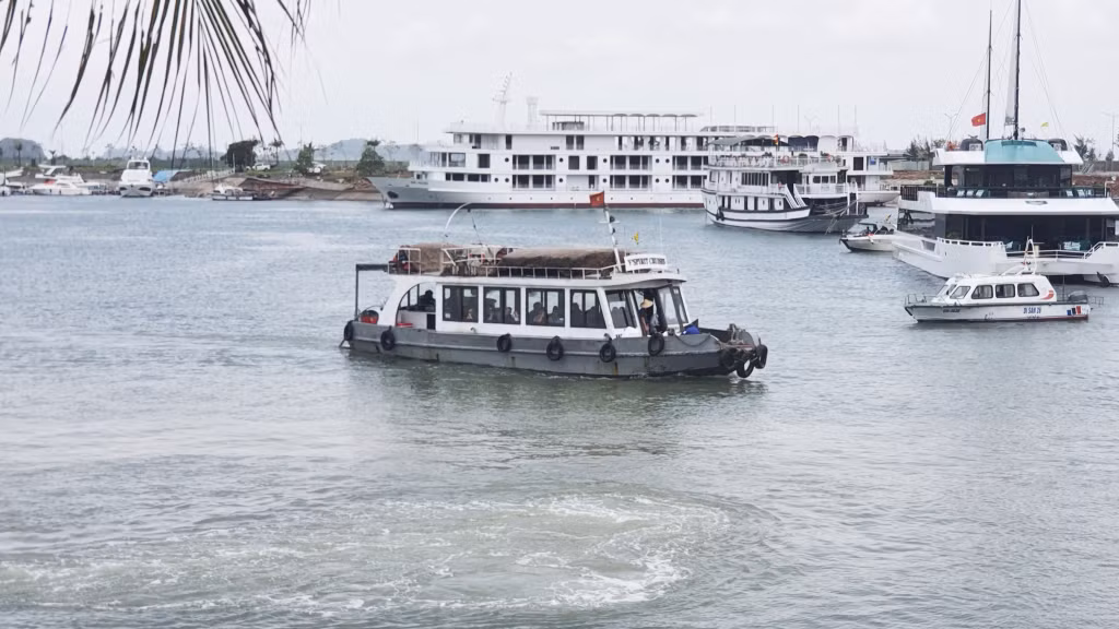 Với công suất xuồng cao tốc, tender có giới hạn, việc chuyển tải tương đối tốn kém và mất nhiều thời gian chờ đợi của du khách.