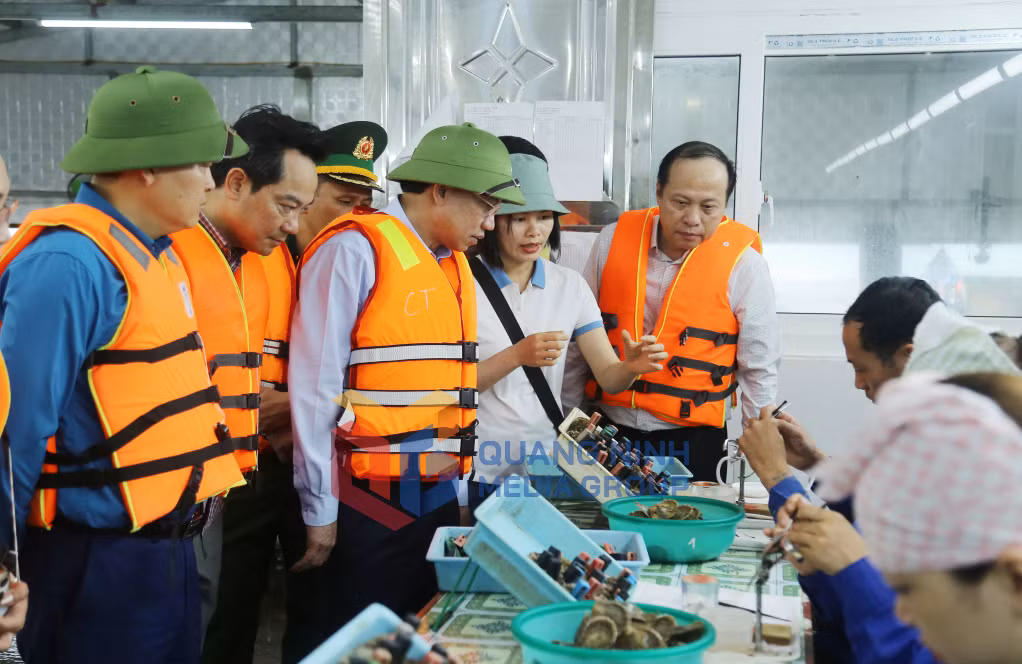 Đồng chí Bí thư Tỉnh ủy, Chủ tịch HĐND tỉnh kiểm tra Mô hình nuôi ngọc trai của Công ty Nuôi ngọc trai Nhật Bản.