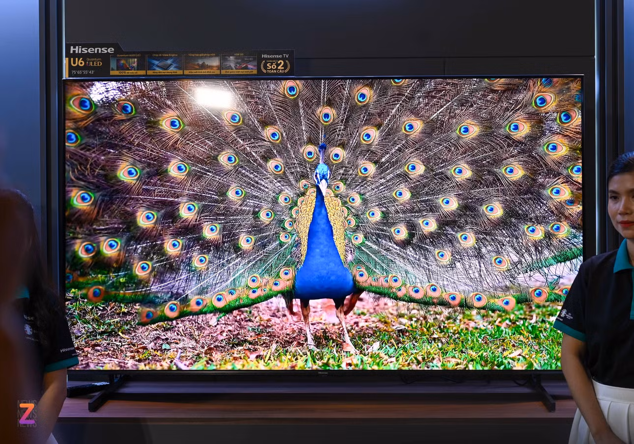 tv hisense anh 3