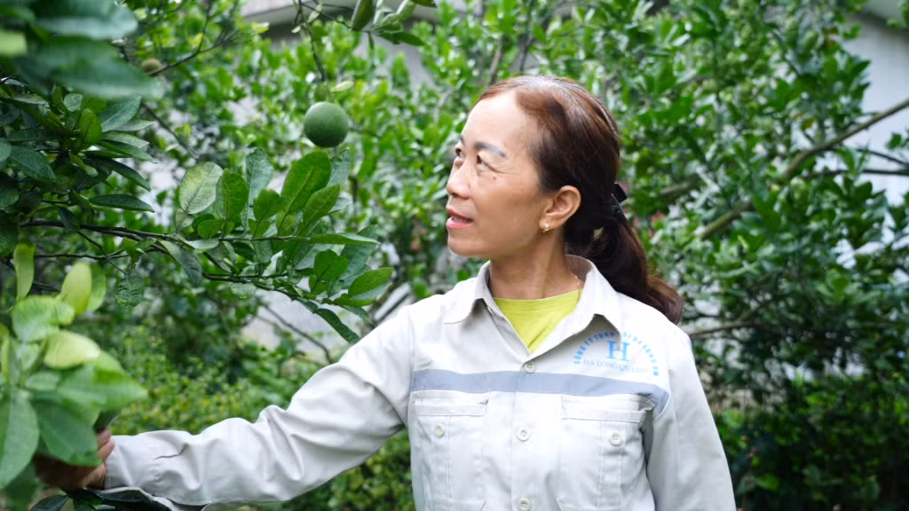 Bà Trần Thị Vân (xã Thống Nhất) giới thiệu mô hình kinh tế vườn tổng hợp của gia đình.