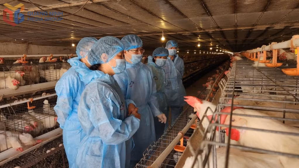 Đoàn công tác Bộ Nông nghiệp và Môi trường kiểm tra hoạt động chăn nuôi tại trang trại gà Tân An, phường Hà An tháng 5/2025. 