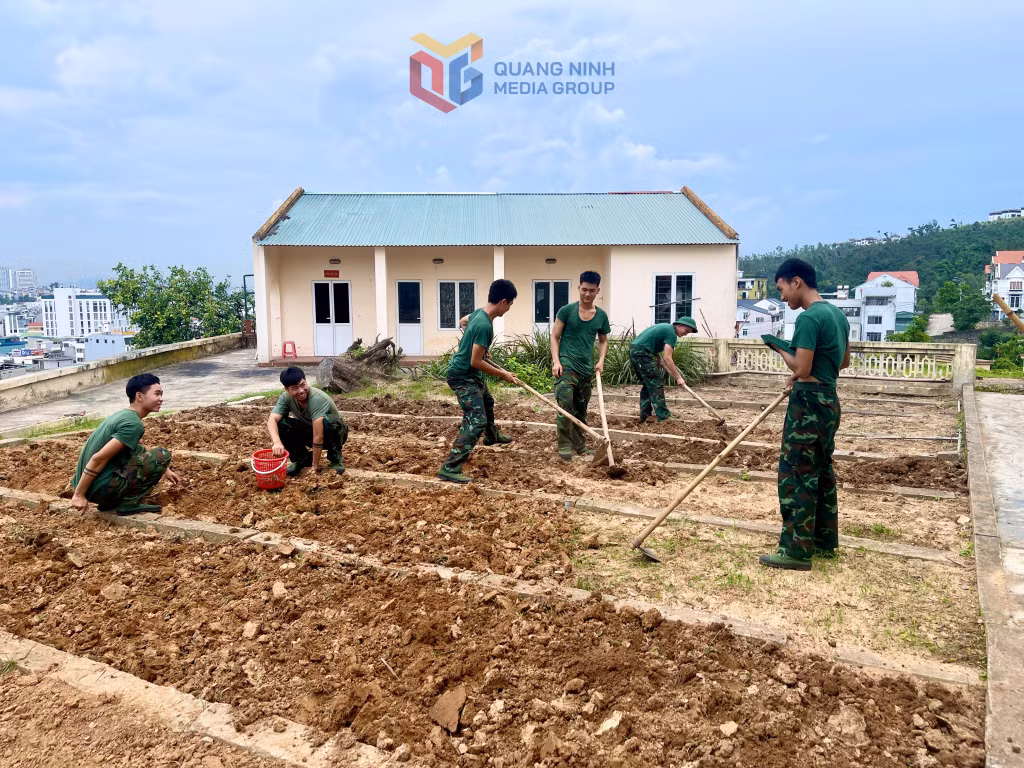 Chiến sĩ Ban Chỉ huy PTKV 4 - Hạ Long làm đất tăng gia sản xuất.