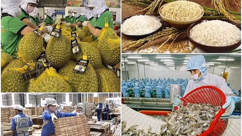 Ngành nông nghiệp đặt mục tiêu thực hiện kim ngạch xuất khẩu toàn ngành đạt 65 tỷ USD trong năm 2025.