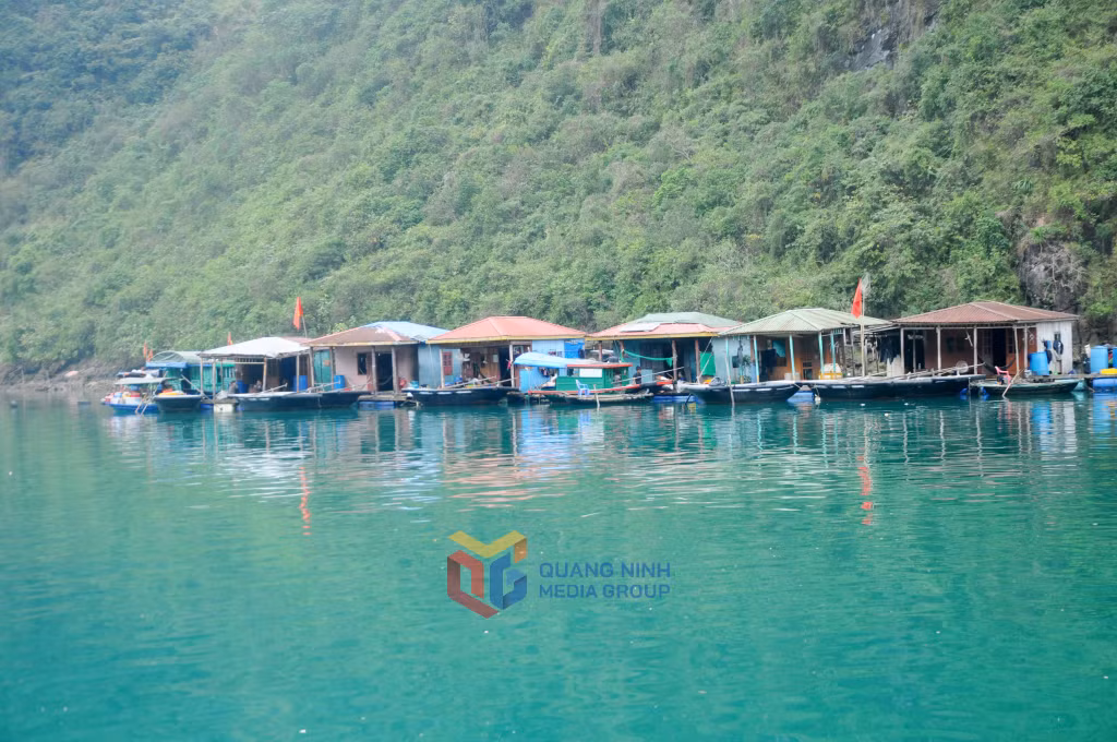 Các nhà bè bảo tồn tại khu vực Cửa Vạn hầu hết đã bị chìm đắm sau cơn bão Yagi vào tháng 9/2024. Ảnh chụp tháng 4/2024.