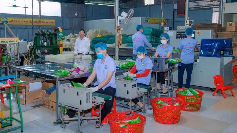 Xưởng đóng gói mì của Hợp tác xã Mì gạo Hùng Lô (phường Vân Phú, tỉnh Phú Thọ).