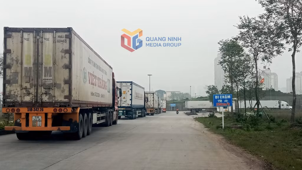 Xuất khẩu hàng nông sản sang thị trường Trung Quốc qua Lối thông quan cầu phao Km3+4, phường Móng Cái 3