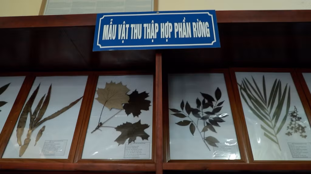 Một số loài thực vật được trưng bày tại Nhà bảo tàng.
