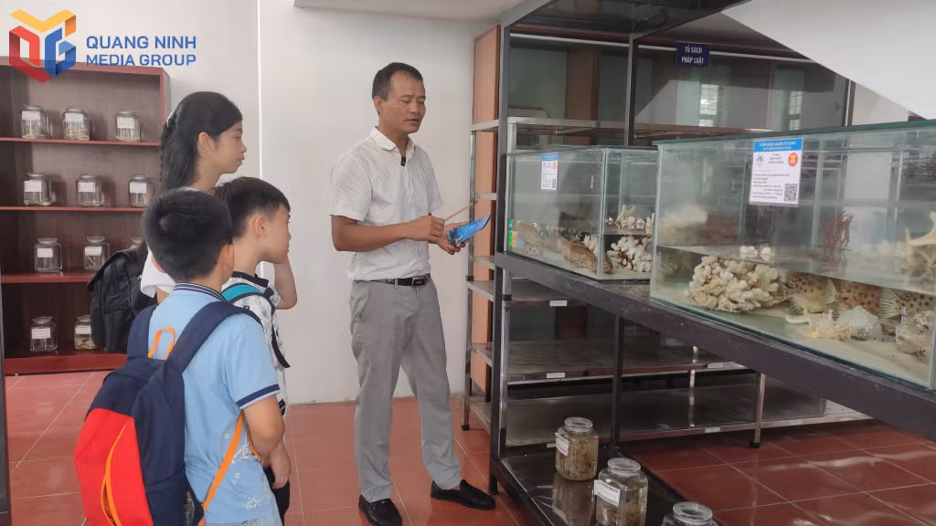 Khu vực trưng bày sinh vật biển do cán bộ Phòng Sinh vật biển và Đất ngập nước của Ban quản lý VQG Bái Tử Long phụ trách và giới thiệu.