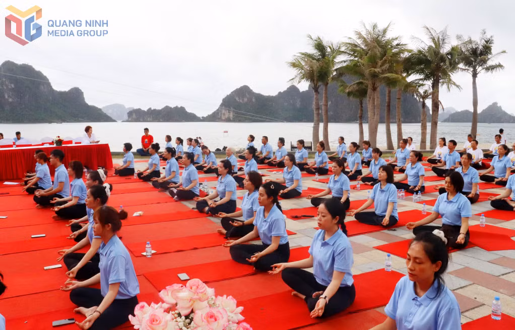 Ngày Yoga quốc tế được tổ chức trên bãi biển bên bờ di sản Vịnh Hạ Long, góp phần quảng bá vùng đất, con người Quảng Ninh.