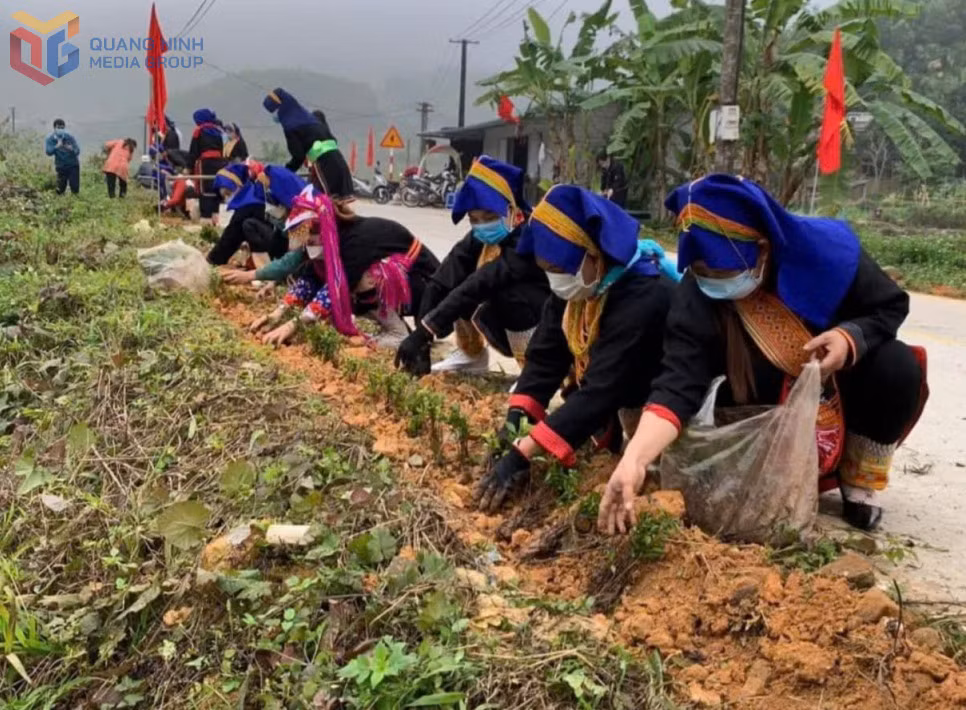 Hội viên phụ nữ xã Ba Chẽ thực hiện trồng hoa và vệ sinh môi trường.