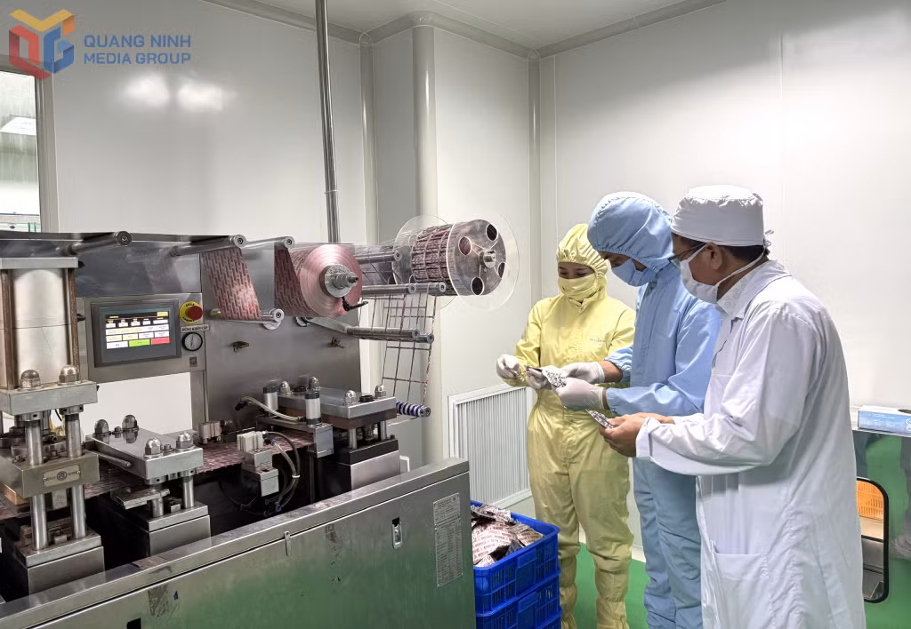 Công ty CP Dược vật tư y tế Quảng Ninh luôn chú trọng ứng dụng KHCN vào sản xuất, hiện đại hóa máy móc, thiết bị.