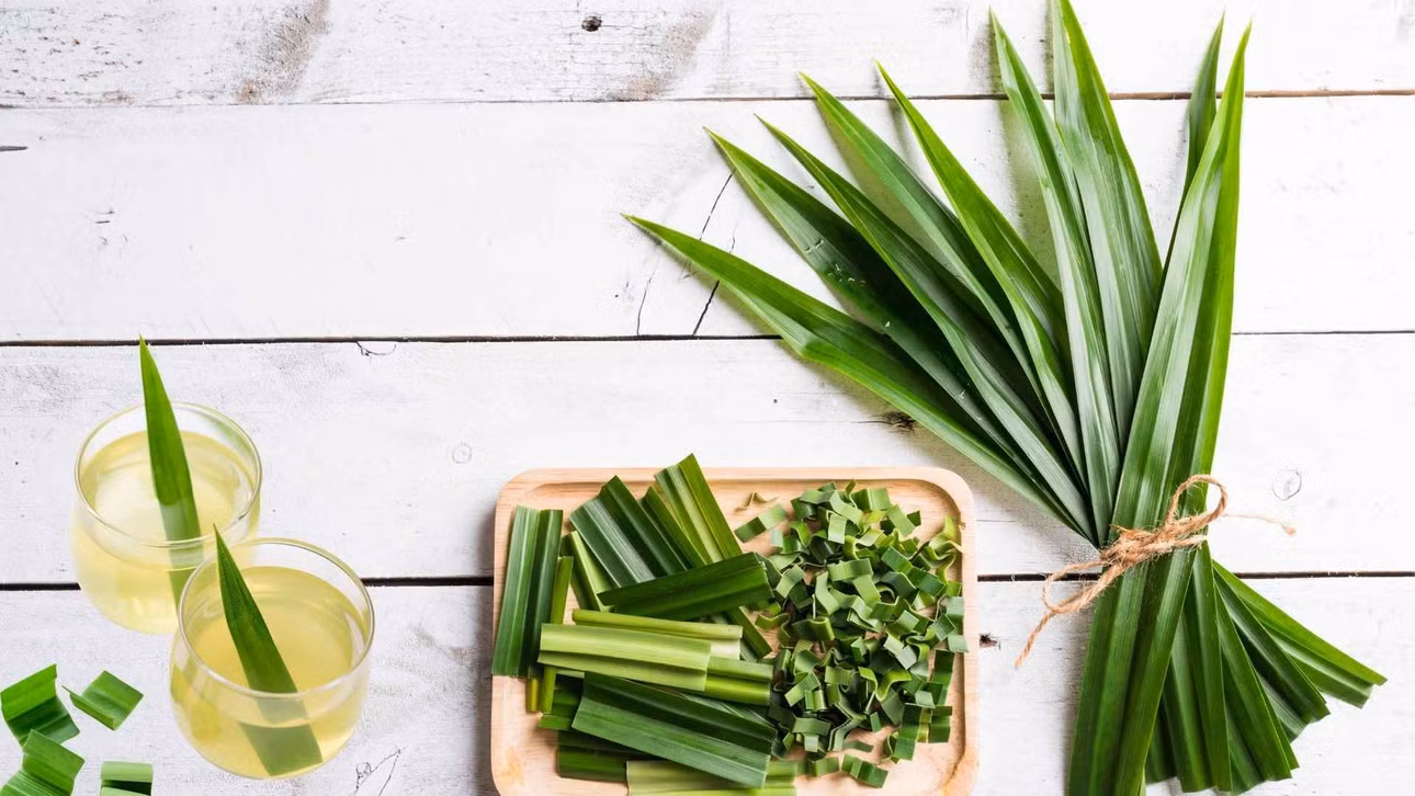 Lợi ích của lá dứa đối với làn da. Đồ họa: Minh Hoàng