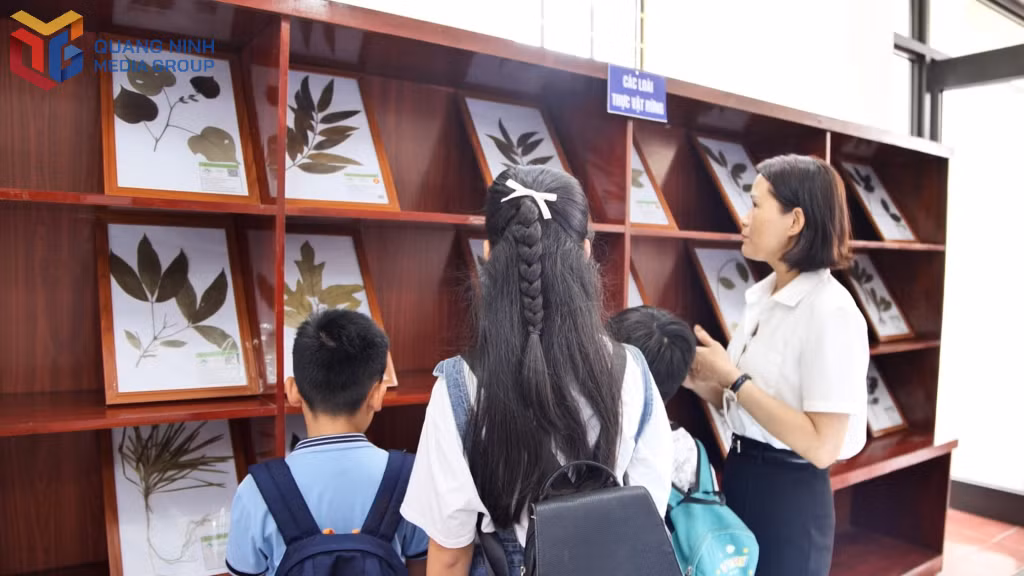 Không gian trưng bày của bảo tàng được chia thành 2 khu: Sinh vật rừng và sinh vật biển.