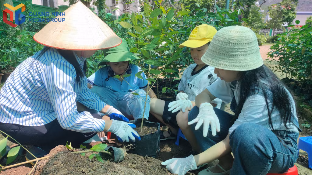 Đến với Bảo tàng Đa dạng sinh học VQG Bái Tử Long, trẻ em còn được tự tay trồng, góp sức bảo tồn các loài thực vật quý tại khu vực Vườn ươm thực vật.