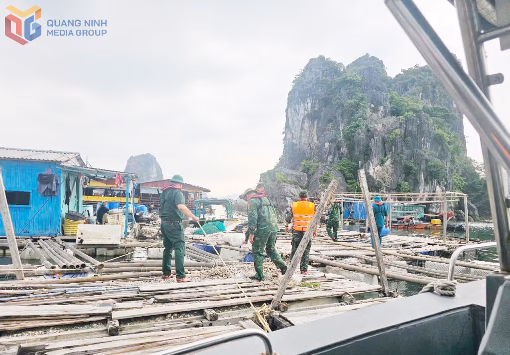 CBCS Đồn BP Hạ Long giúp ngư dân trên địa bàn Đặc khu Vân Đồn chằng buộc nồng bè ứng phó bão số Wipha. 