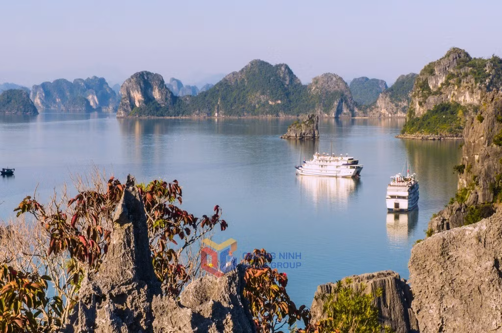 Trên đỉnh núi đá tai mèo sắc nhọn, Sộp vẫn vươn lên mạnh mẽ, gửi mình cùng trời cao.