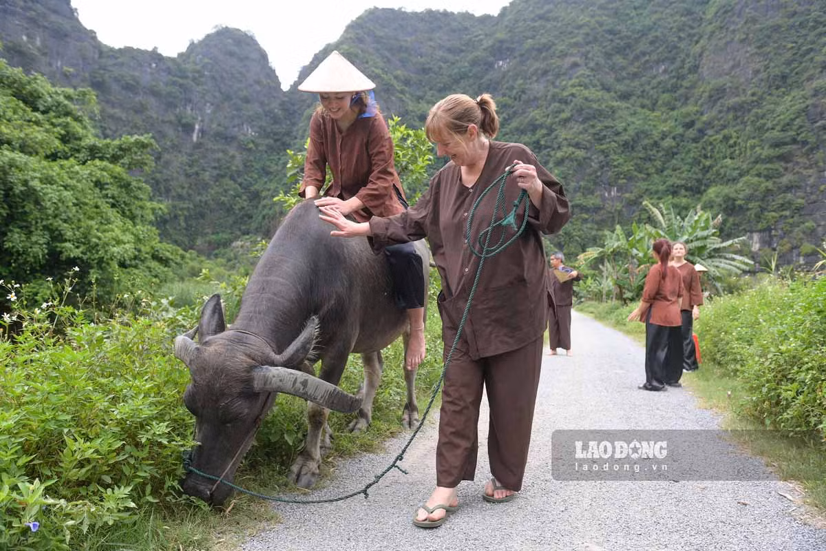 Khách quốc tế trải nghiệm một ngày làm nông dân ở Ninh Bình. Ảnh: Hà Vi