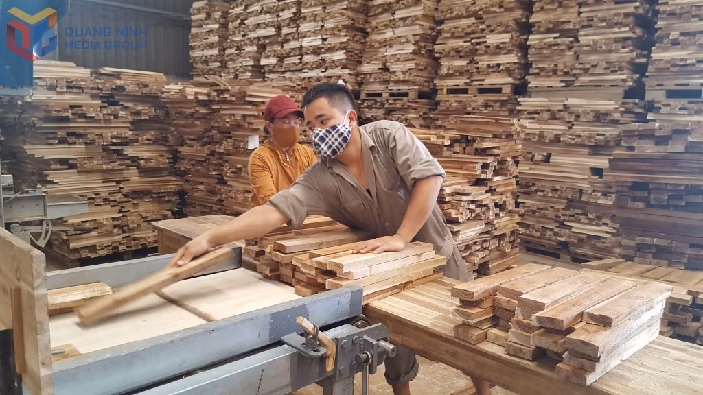 Sản xuất gỗ ván thanh tại Công ty TNHH MTV lâm nghiệp Tiên Yên.