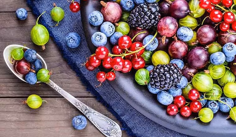 Quả mọng rất giàu vitamin C.