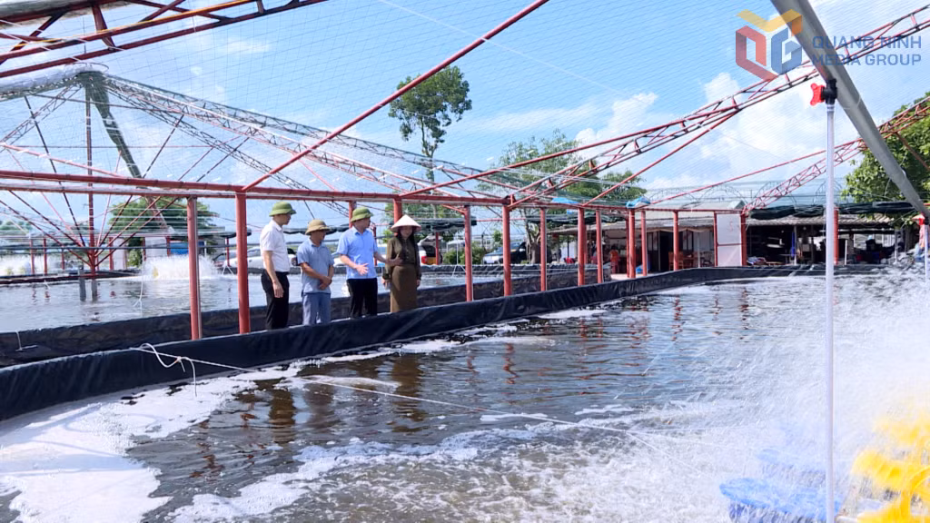 Anh Lý Văn Sáng – xã Hải Lạng nuôi tôm công nghệ cao với sản lượng đạt 80 tấn/2 vụ/năm.