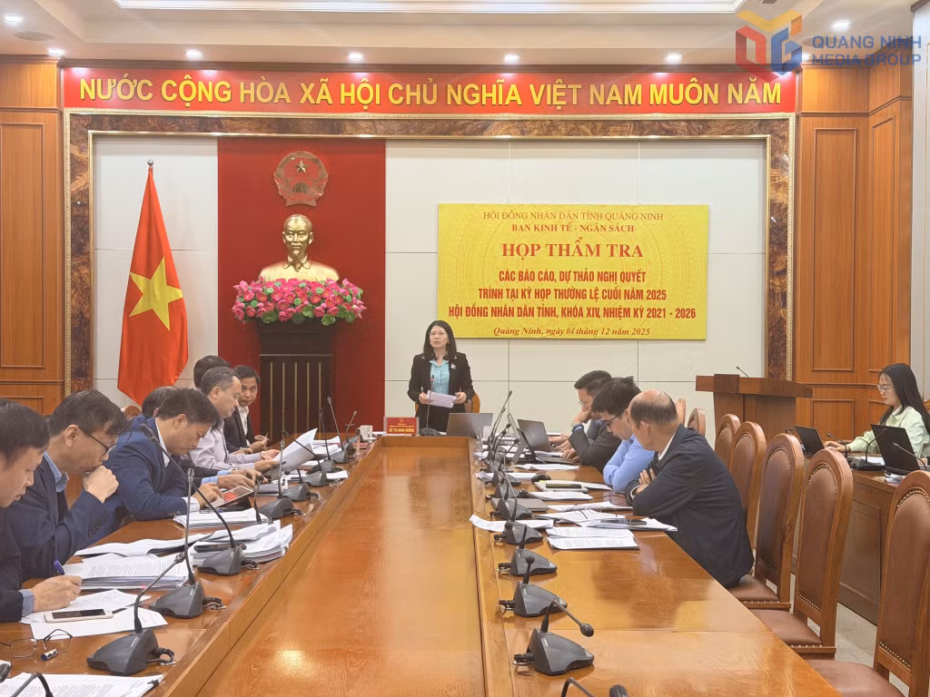 Đồng chí Đỗ Thị Ninh Hường, Trưởng Ban Kinh tế - Ngân sách HĐND tỉnh phát biểu tại cuộc họp thẩm tra.