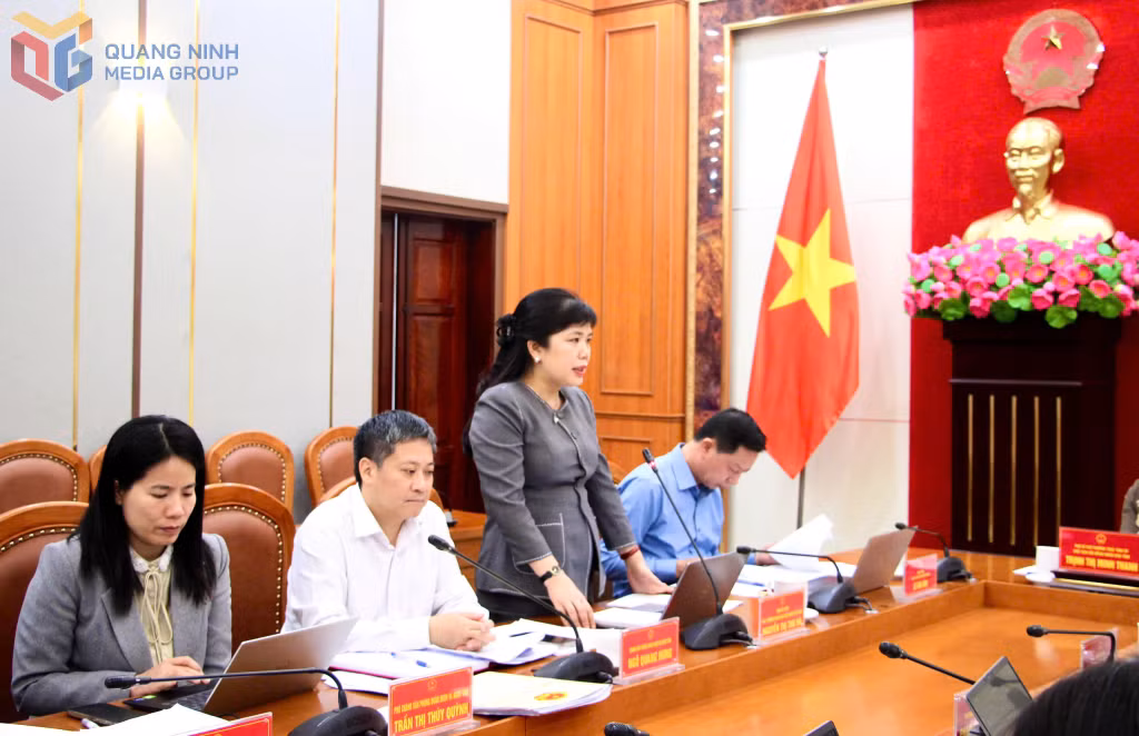 Đồng chí Nguyễn Thị Thu Hà, Phó Trưởng Đoàn ĐBQH tỉnh, phát biểu tại phiên họp.
