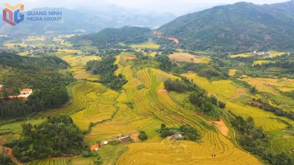 Những thửa ruộng bậc thang và sắc vàng óng của lúa chín hòa cùng khung cảnh yên bình thu hút khách đến với bản làng vùng cao.